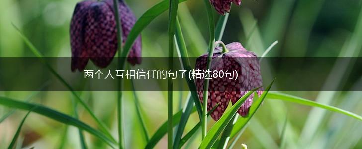 两个人互相信任的句子(精选80句),第1张