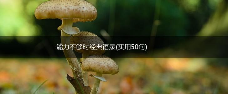 能力不够时经典语录(实用50句),第1张