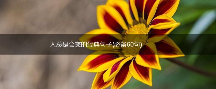 人总是会变的经典句子(必备60句),第1张