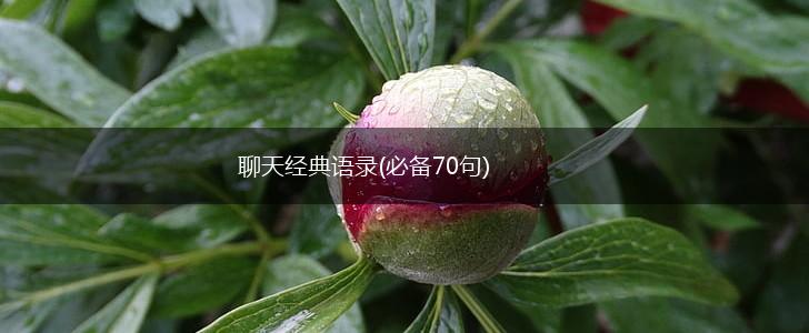 聊天经典语录(必备70句),第1张