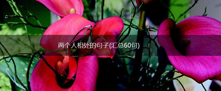 两个人相处的句子(汇总60句),第1张