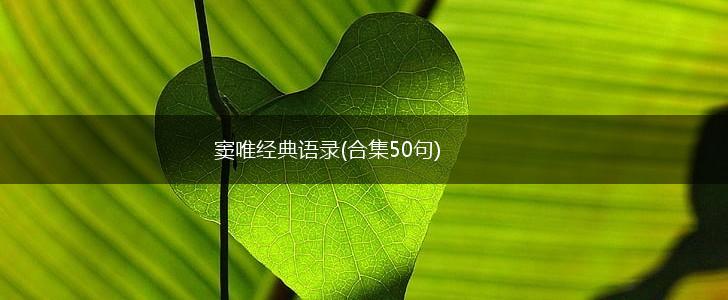 窦唯经典语录(合集50句),第1张