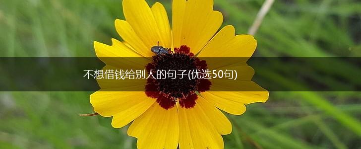 不想借钱给别人的句子(优选50句),第1张