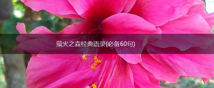 萤火之森经典语录(必备60句),第1张