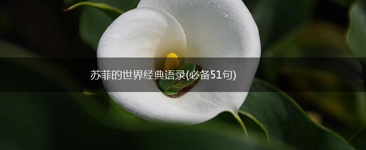苏菲的世界经典语录(必备51句),第1张