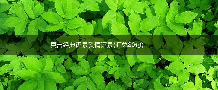 莫言经典语录爱情语录(汇总80句),第1张