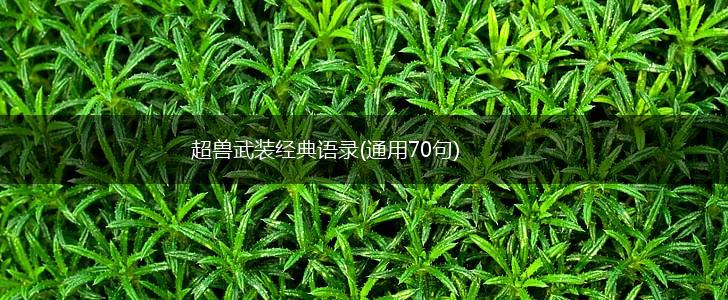 超兽武装经典语录(通用70句),第1张