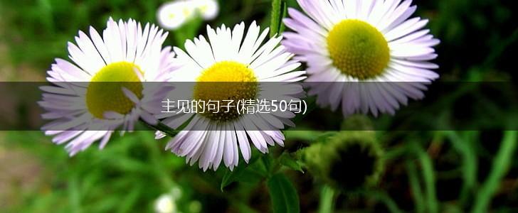 主见的句子(精选50句),第1张