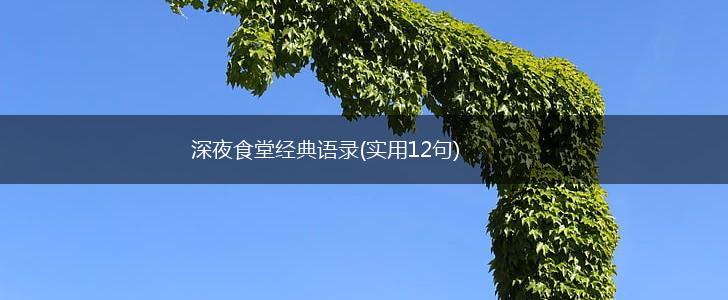 深夜食堂经典语录(实用12句),第1张