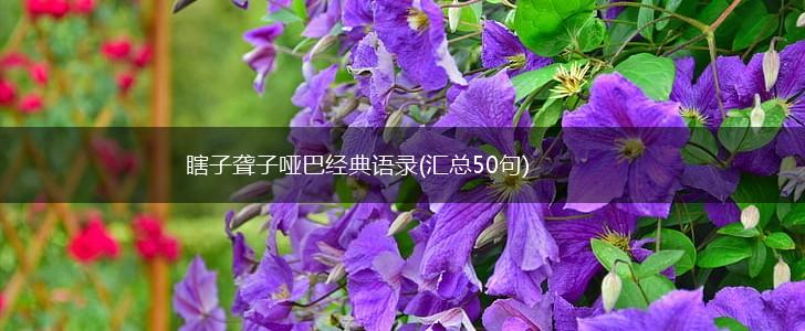 瞎子聋子哑巴经典语录(汇总50句),第1张 瞎子聋子哑巴经典语录(汇总50句),第1张