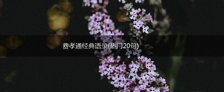 费孝通经典语录(热门20句),第1张 费孝通经典语录(热门20句),第1张