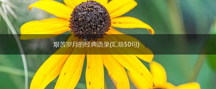 艰苦岁月的经典语录(汇总50句),第1张