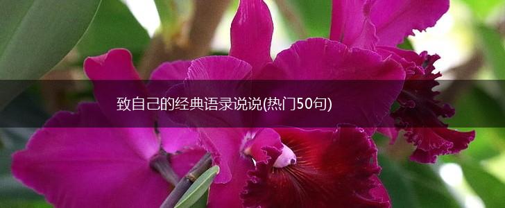 致自己的经典语录说说(热门50句),第1张