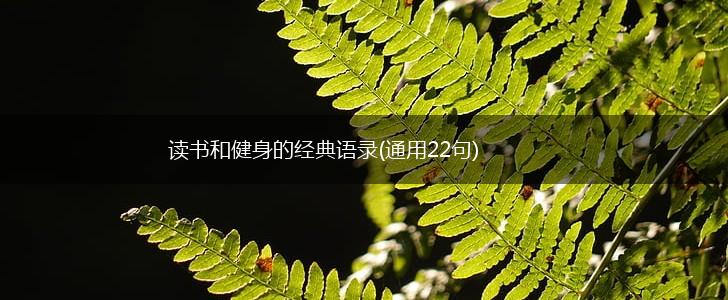 读书和健身的经典语录(通用22句),第1张