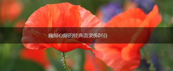 痛彻心扉的经典语录(60句),第1张