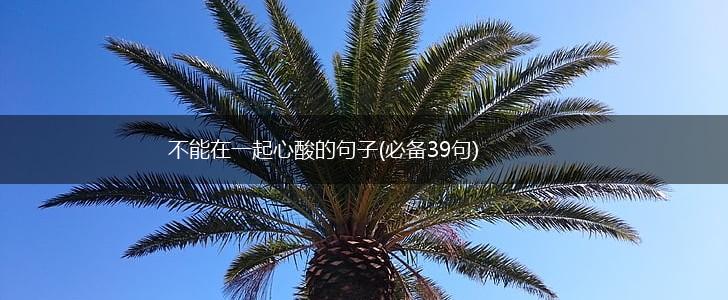不能在一起心酸的句子(必备39句),第1张