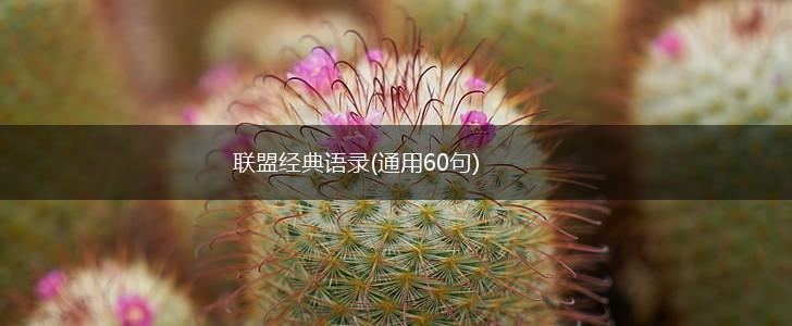 联盟经典语录(通用60句),第1张