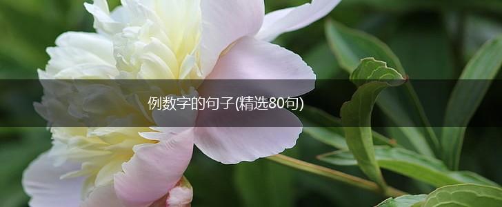 例数字的句子(精选80句),第1张