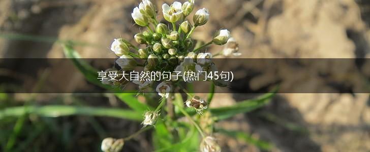 享受大自然的句子(热门45句),第1张