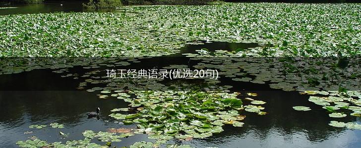 琦玉经典语录(优选20句),第1张