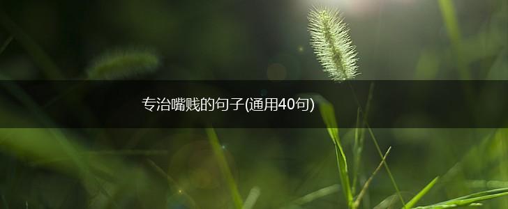 专治嘴贱的句子(通用40句),第1张