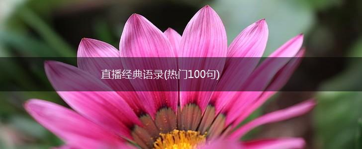 直播经典语录(热门100句),第1张