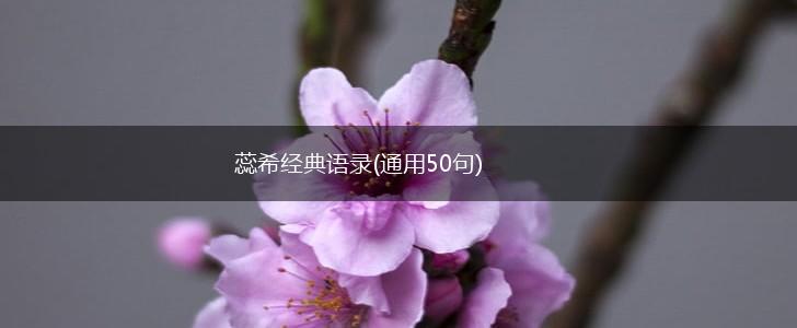 蕊希经典语录(通用50句),第1张