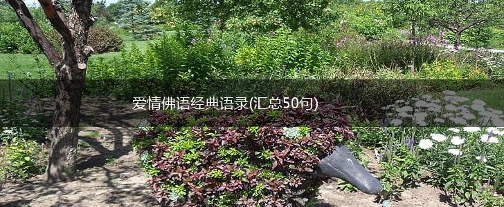 爱情佛语经典语录(汇总50句),第1张