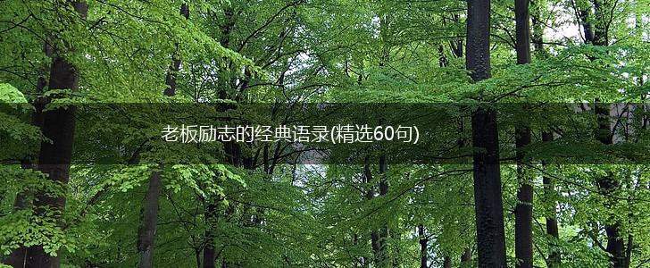 老板励志的经典语录(精选60句),第1张