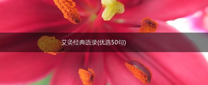 艾灸经典语录(优选50句),第1张