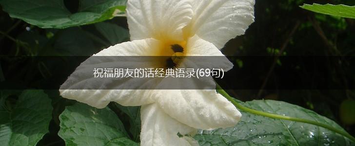 祝福朋友的话经典语录(69句),第1张