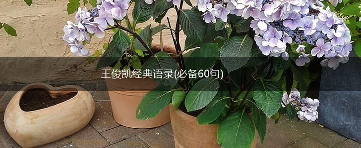 王俊凯经典语录(必备60句),第1张