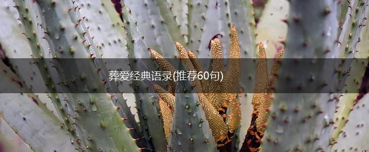 葬爱经典语录(推荐60句),第1张