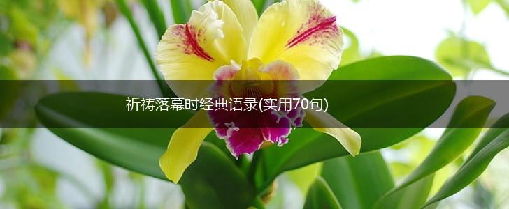 祈祷落幕时经典语录(实用70句),第1张