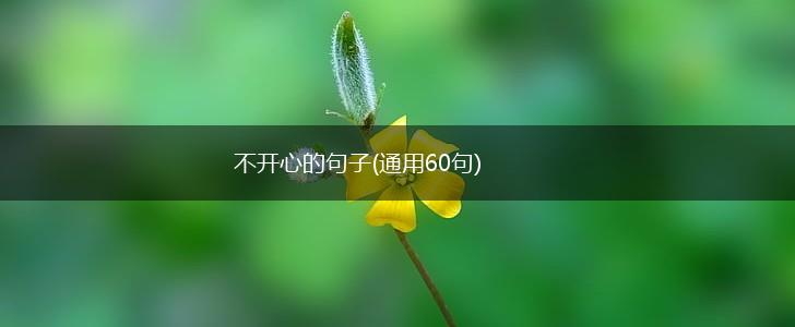不开心的句子(通用60句),第1张