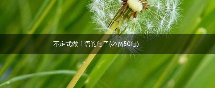不定式做主语的句子(必备50句),第1张
