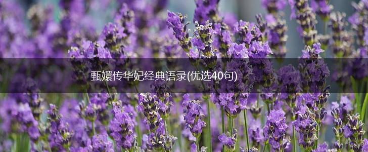 甄嬛传华妃经典语录(优选40句),第1张