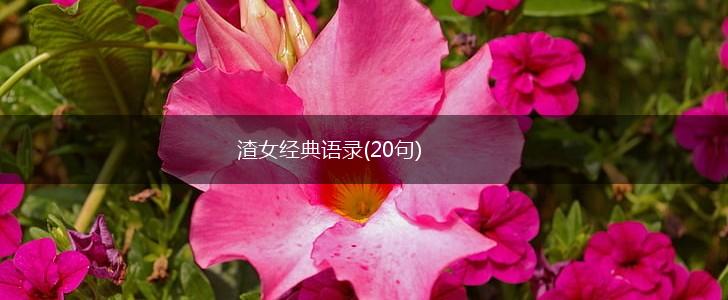 渣女经典语录(20句),第1张