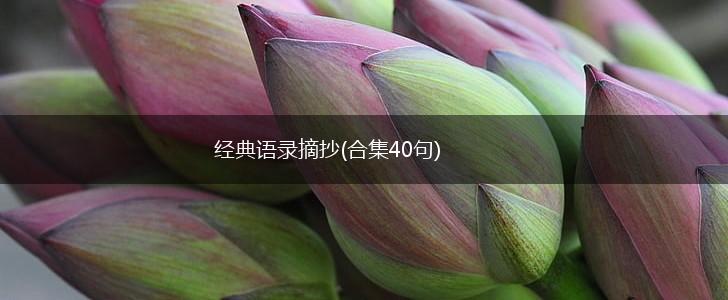 经典语录摘抄(合集40句),第1张