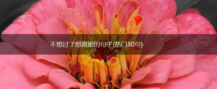 不想过了想离婚的句子(热门80句),第1张