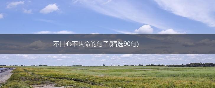 不甘心不认命的句子(精选90句),第1张