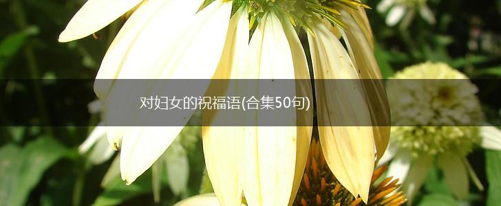 对妇女的祝福语(合集50句),第1张