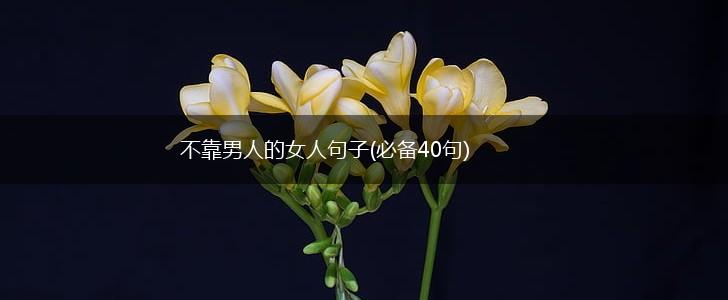 不靠男人的女人句子(必备40句),第1张