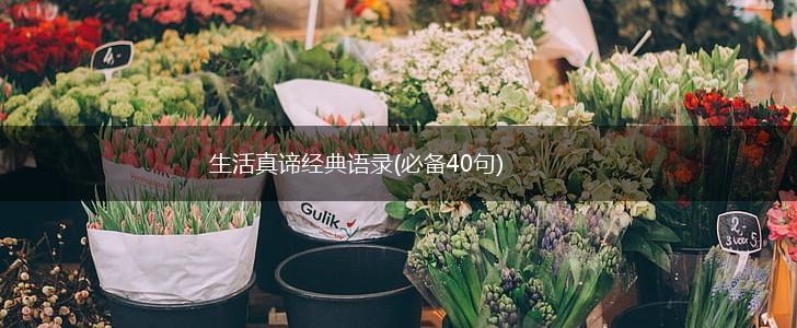 生活真谛经典语录(必备40句),第1张