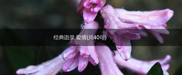 经典语录 爱情(共40句),第1张 经典语录 爱情(共40句),第1张