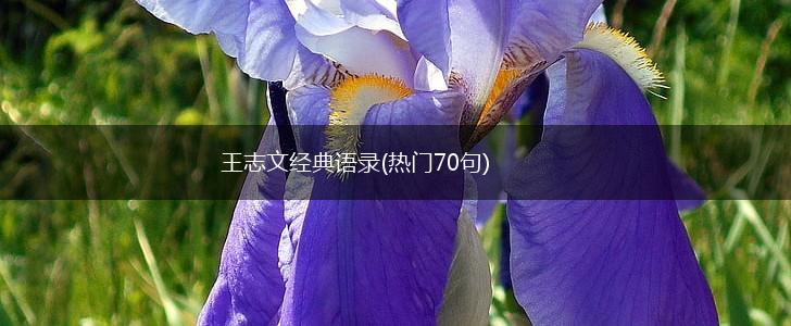 王志文经典语录(热门70句),第1张