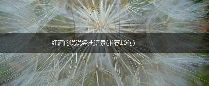 红酒的说说经典语录(推荐10句),第1张