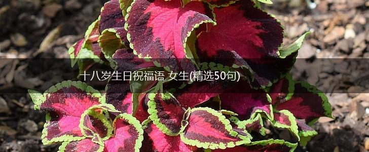 十八岁生日祝福语 女生(精选50句),第1张