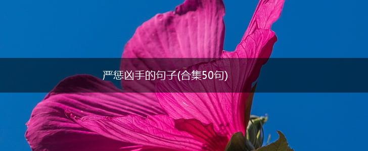 严惩凶手的句子(合集50句),第1张