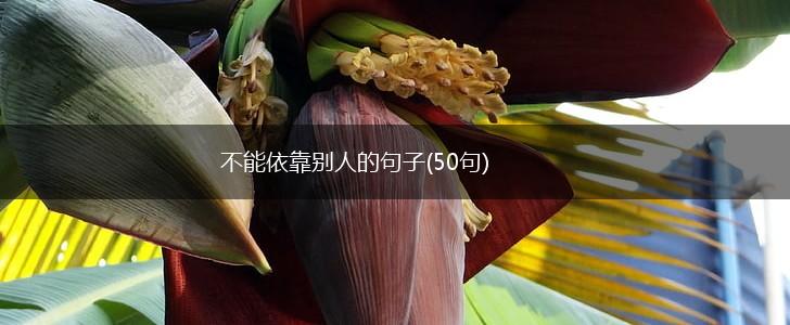 不能依靠别人的句子(50句),第1张
